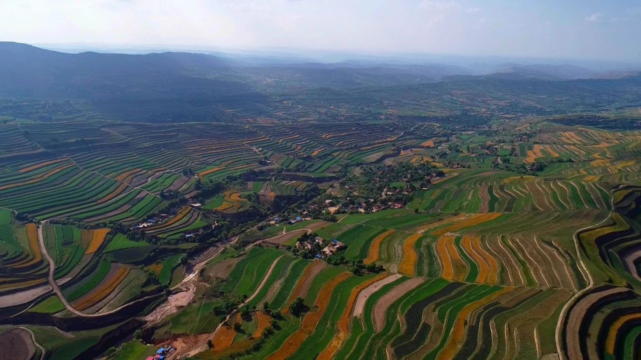 會寧：雜糧不“小” 產業“不賴”